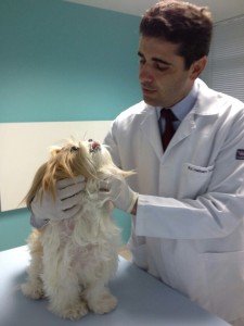 dentista-veterinario-depoimento